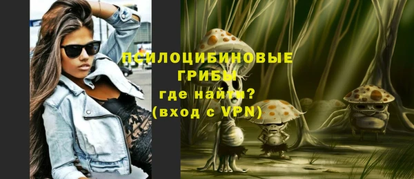 амф Абинск